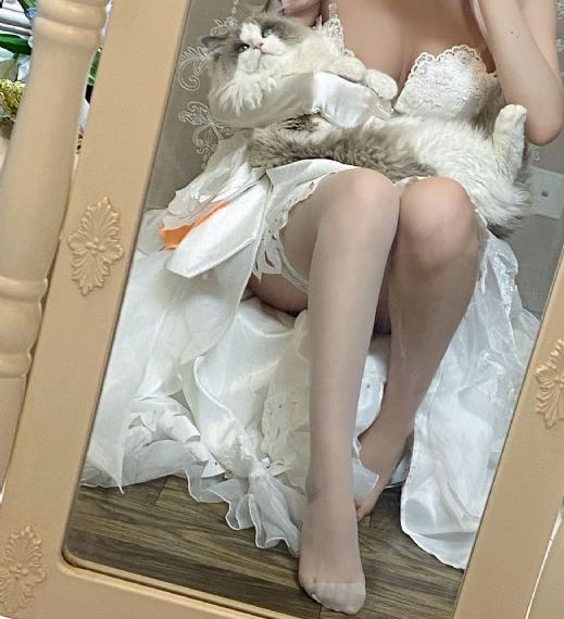 污视频免费在线观看_超清高清在线